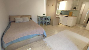 Studio with private entrance and free parking, Tallinn